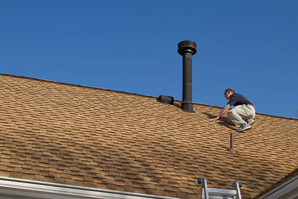 Best Roof Moss and Algae Removal  in New Baden, IL